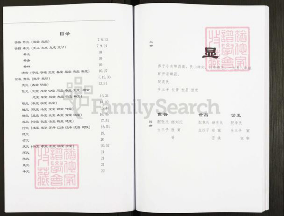 山东省青岛市平度市灰端口镇宿氏族谱-宿氏家乘.pdf电子版插图4