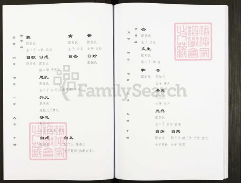 山东省青岛市平度市灰端口镇宿氏族谱-宿氏家乘.pdf电子版插图5