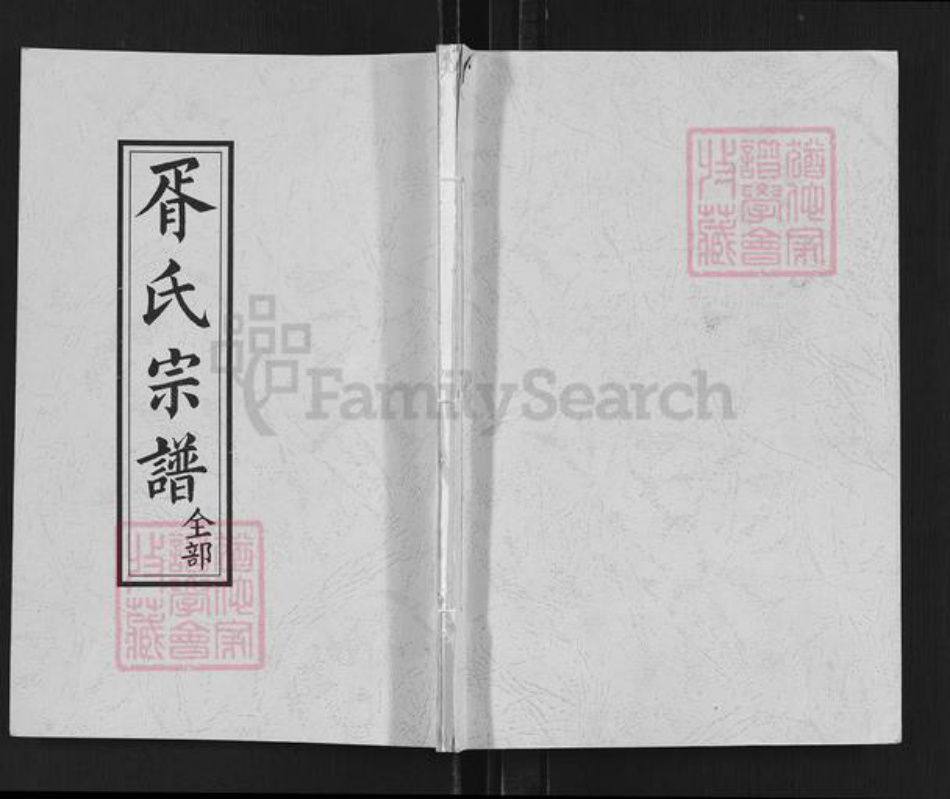 四川省绵阳市盐亭县金孔镇胥氏族谱-胥氏宗谱.pdf电子版