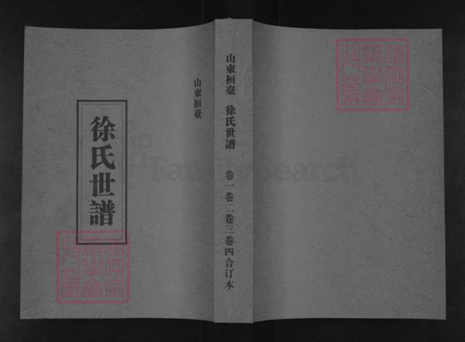 山东省淄博市桓台县新城镇徐氏族谱-徐氏世谱.pdf电子版