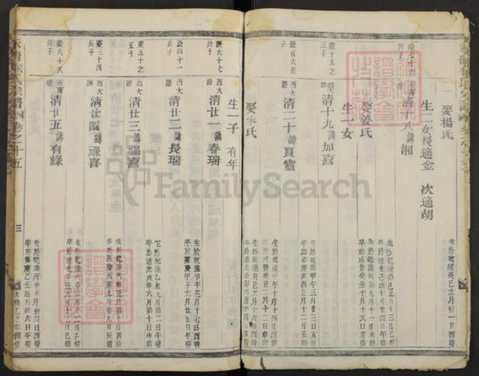 浙江省金华市徐氏族谱-永清徐氏宗谱.pdf电子版插图3