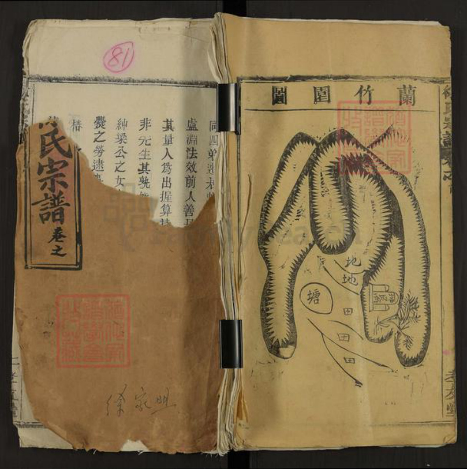 湖北省黄冈市徐氏孝友堂族谱-徐氏宗谱.pdf电子版