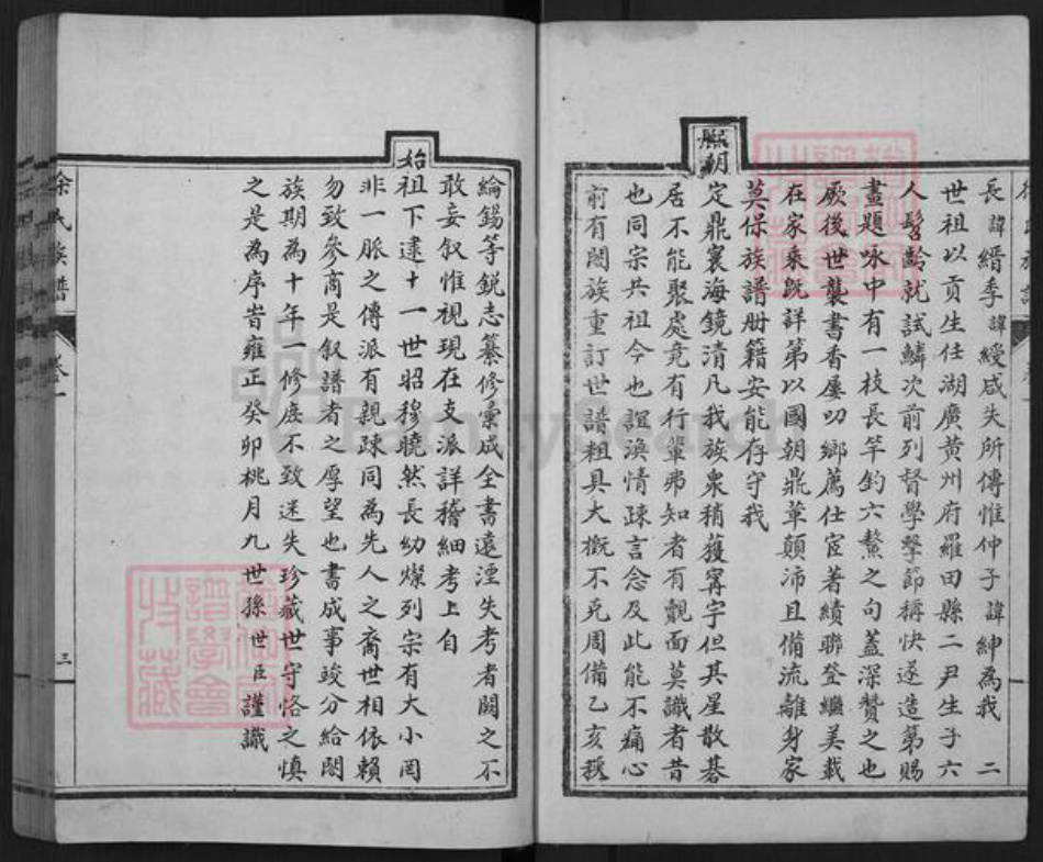 山东省泰安市东平县徐氏族谱-东原徐氏族谱.pdf电子版插图2