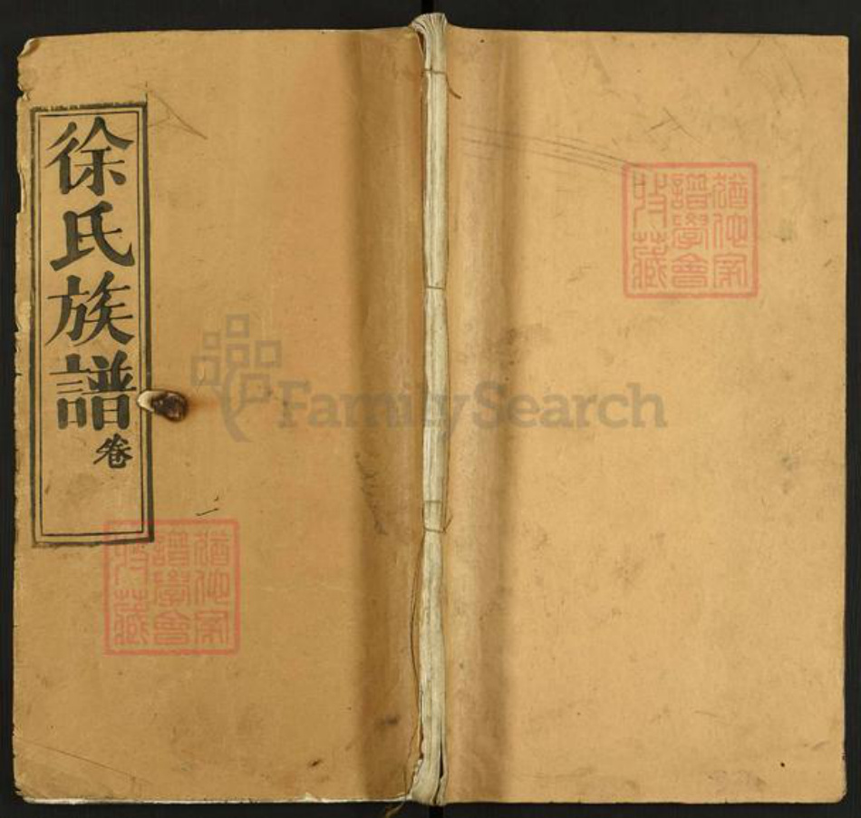 湖北省黄石市阳新县徐氏族谱-徐氏族谱.pdf电子版插图