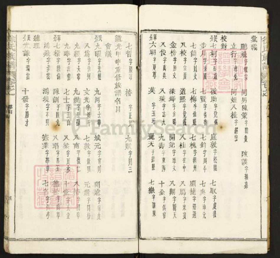 湖北省黄石市阳新县徐氏族谱-徐氏族谱.pdf电子版插图4