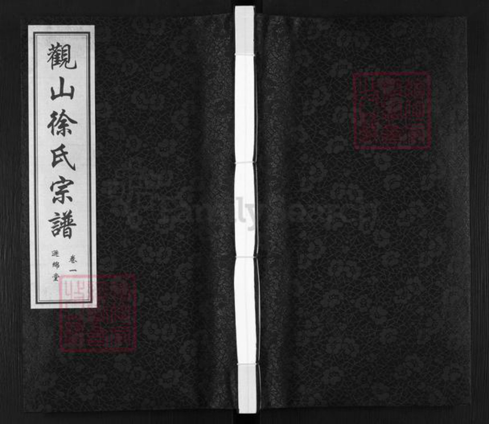 江苏省无锡市江阴市南闸街道徐氏逊绵堂族谱-观山徐氏宗谱.pdf电子版