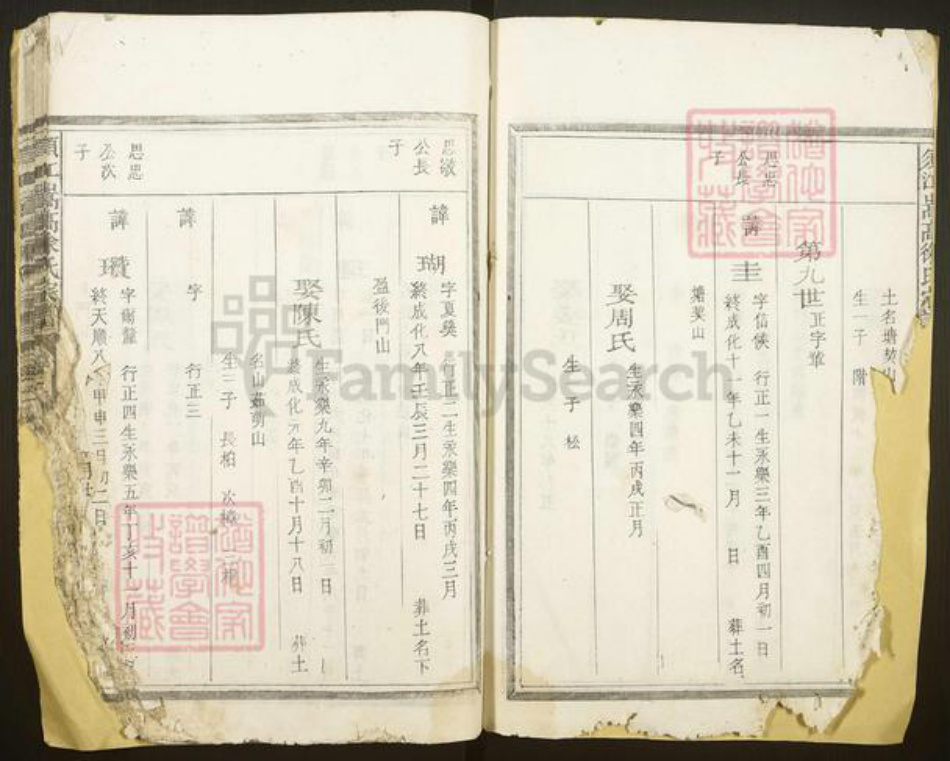 浙江省衢州江山市徐氏族谱-须江嵩高徐氏宗谱.pdf电子版插图3 浙江省衢州江山市徐氏族谱-须江嵩高徐氏宗谱.pdf电子版插图3