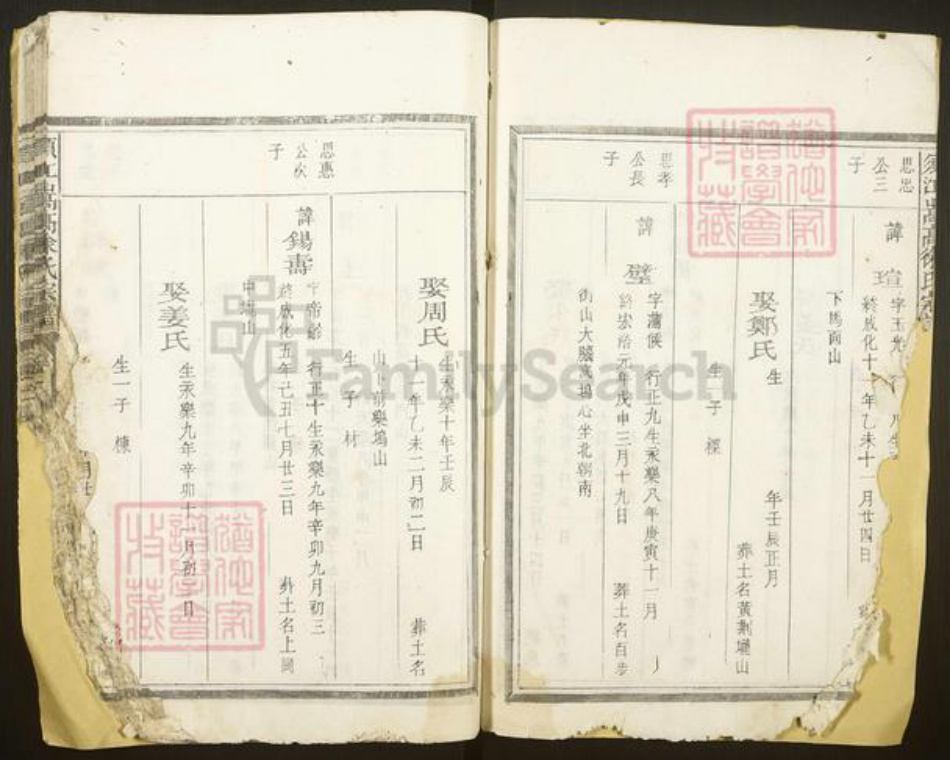 浙江省衢州江山市徐氏族谱-须江嵩高徐氏宗谱.pdf电子版插图5 浙江省衢州江山市徐氏族谱-须江嵩高徐氏宗谱.pdf电子版插图5