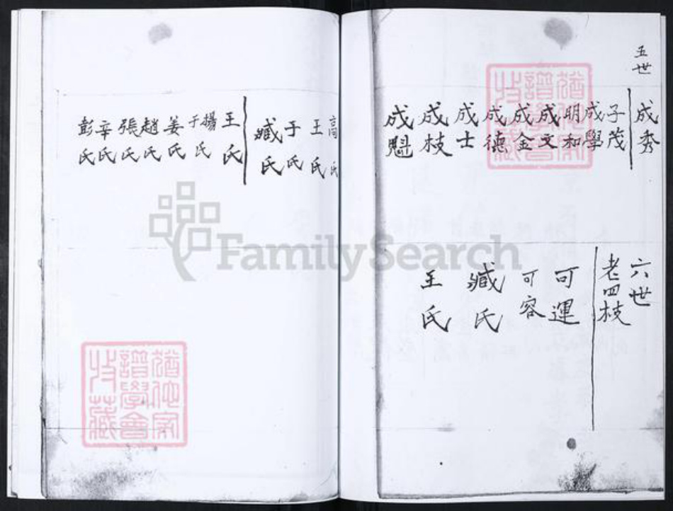 山东省青岛市崂山区徐氏族谱-书院社区徐氏族谱.pdf电子版插图3 山东省青岛市崂山区徐氏族谱-书院社区徐氏族谱.pdf电子版插图3