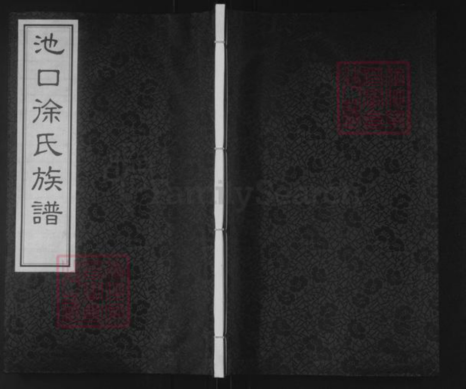 山东省临沂市罗庄区徐氏墨敬堂族谱-池口徐氏族谱.pdf电子版插图