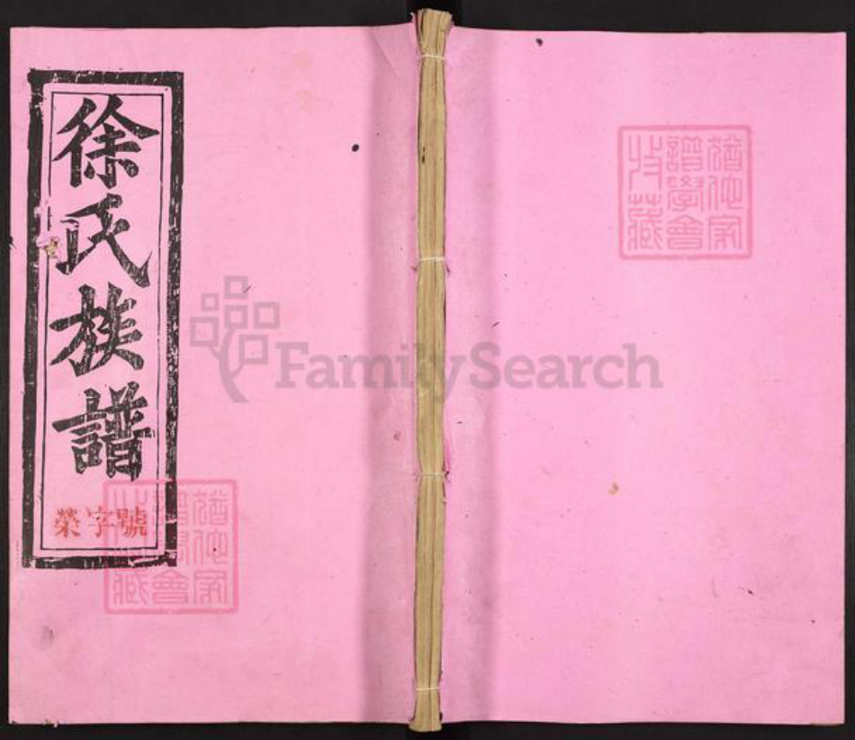 江西省南昌市徐氏族谱-徐氏联修族谱.pdf电子版