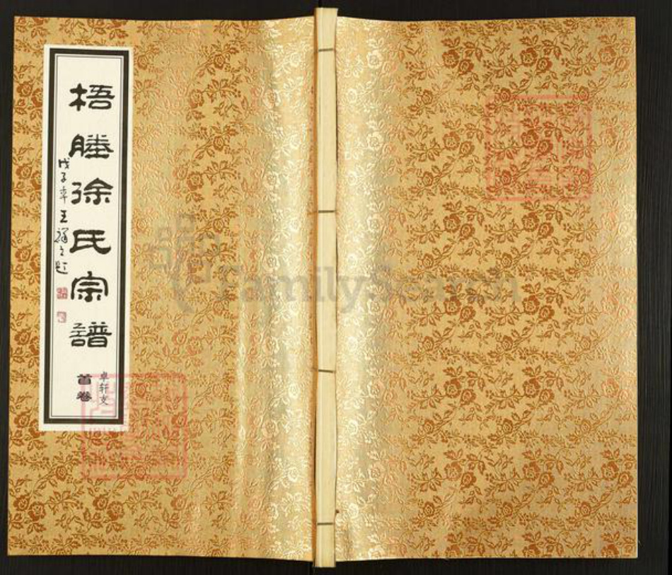 江苏省无锡市江阴市月城镇徐氏梧塍堂族谱-梧塍徐氏宗谱.卓轩支.pdf电子版