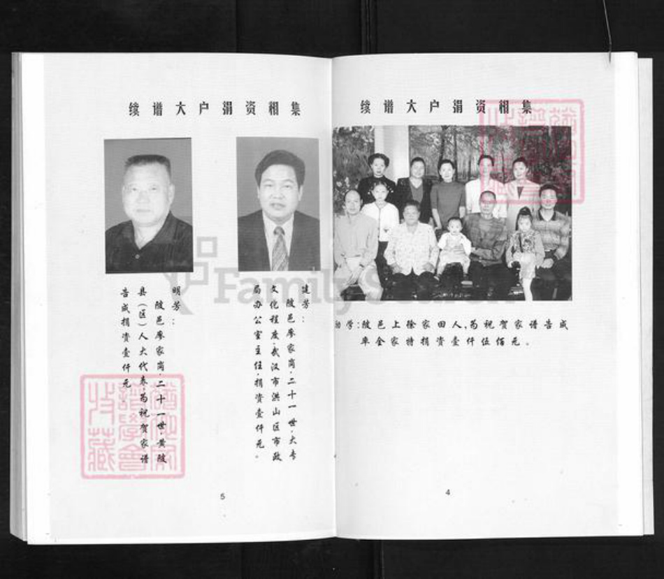 湖北省孝感市孝南区陡岗镇徐氏笃亲堂族谱-徐氏宗谱.pdf电子版插图4 湖北省孝感市孝南区陡岗镇徐氏笃亲堂族谱-徐氏宗谱.pdf电子版插图4