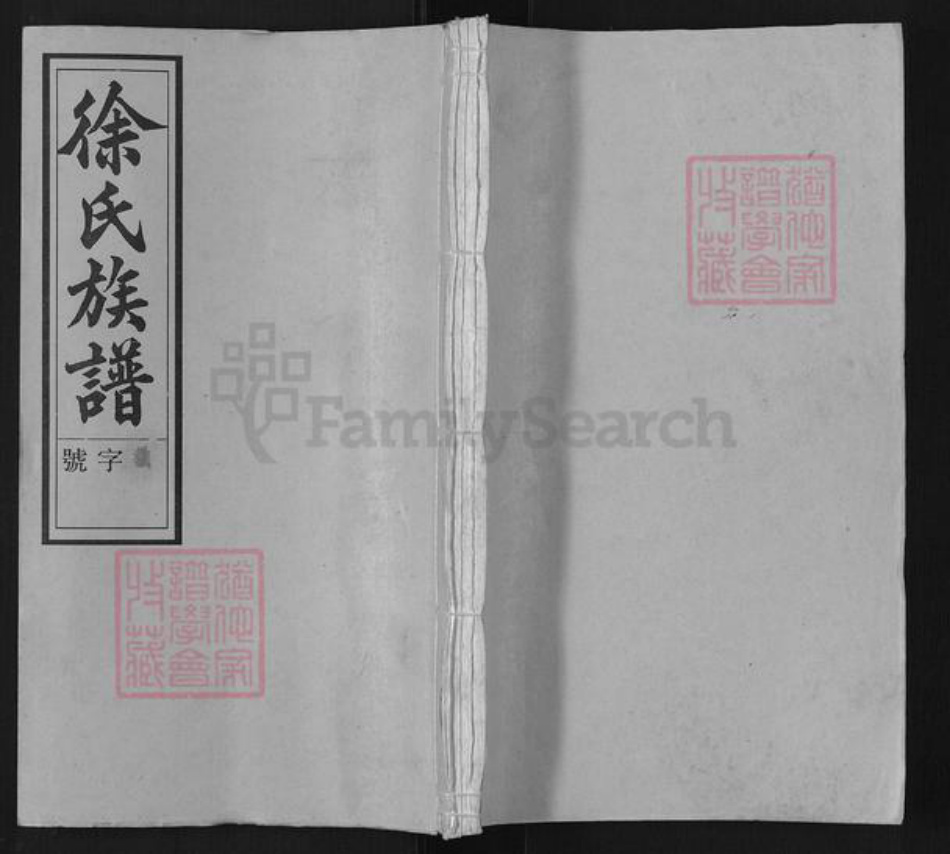 安徽省安庆市潜山市源潭镇徐氏敦睦堂族谱-徐氏族谱.pdf电子版