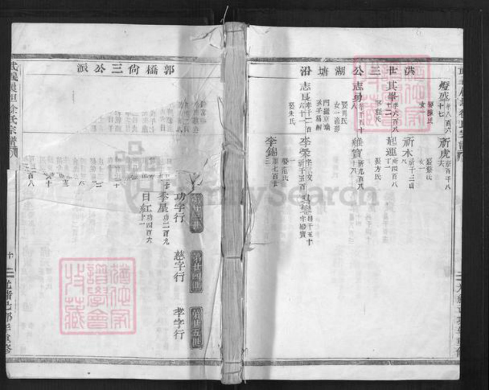 浙江省金华市武义县履坦镇徐氏惇本堂族谱-武义履坦徐氏宗谱.pdf电子版
