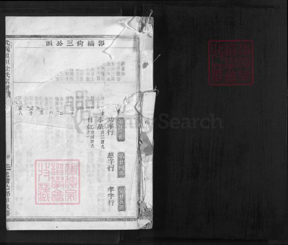 浙江省金华市武义县履坦镇徐氏惇本堂族谱-武义履坦徐氏宗谱.pdf电子版插图1