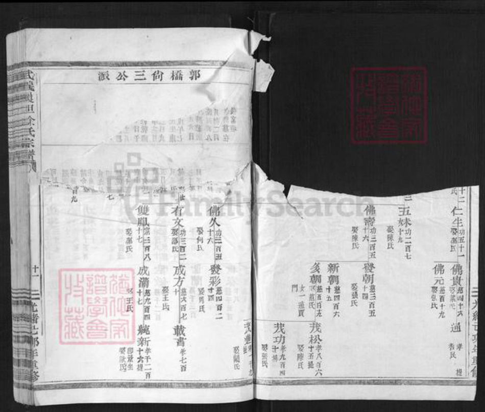 浙江省金华市武义县履坦镇徐氏惇本堂族谱-武义履坦徐氏宗谱.pdf电子版插图2