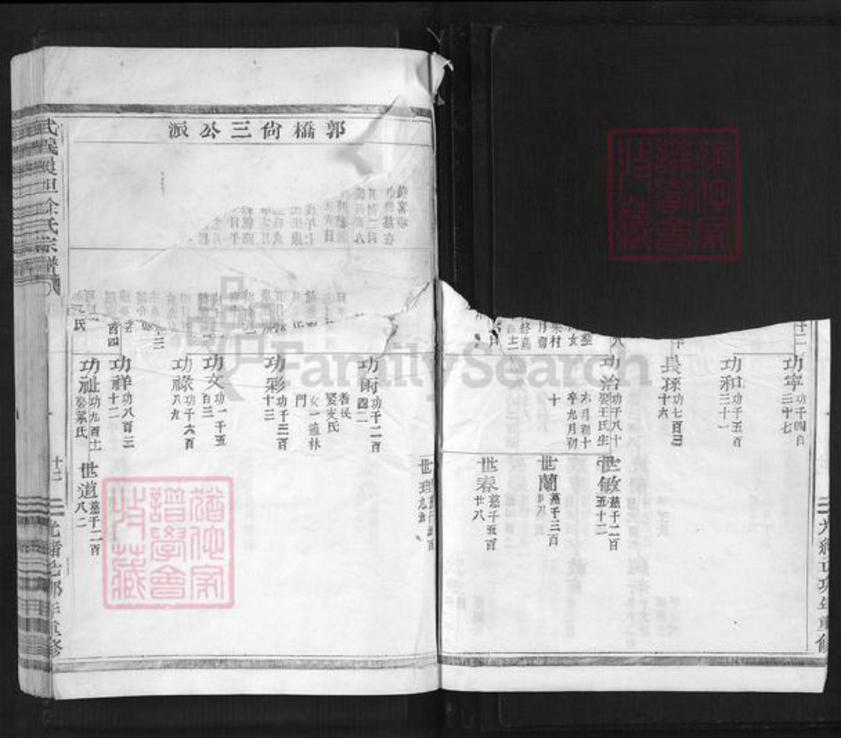 浙江省金华市武义县履坦镇徐氏惇本堂族谱-武义履坦徐氏宗谱.pdf电子版插图3