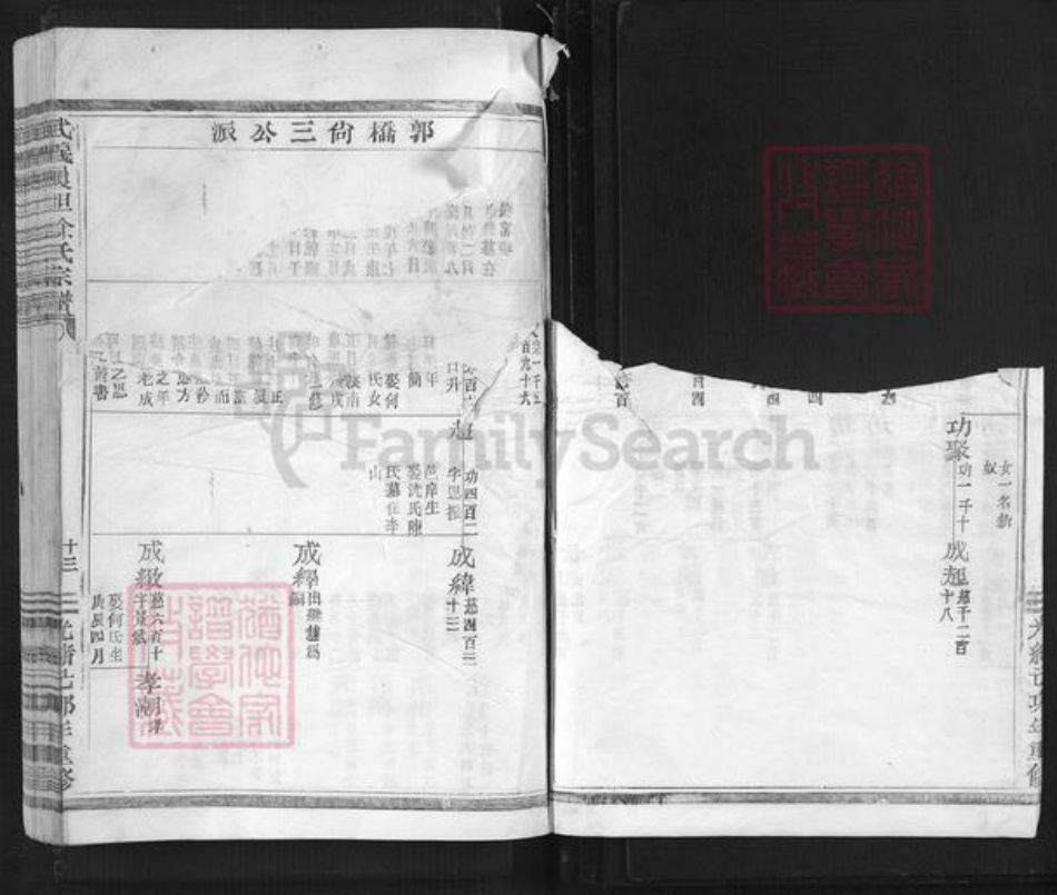 浙江省金华市武义县履坦镇徐氏惇本堂族谱-武义履坦徐氏宗谱.pdf电子版插图4