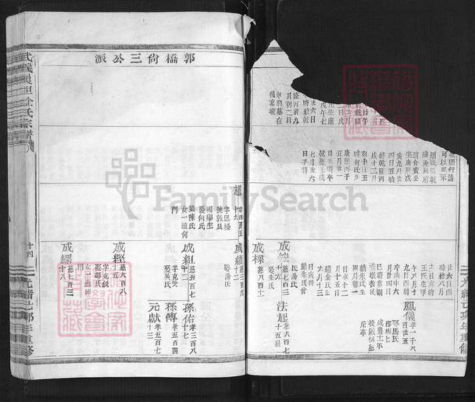 浙江省金华市武义县履坦镇徐氏惇本堂族谱-武义履坦徐氏宗谱.pdf电子版插图5