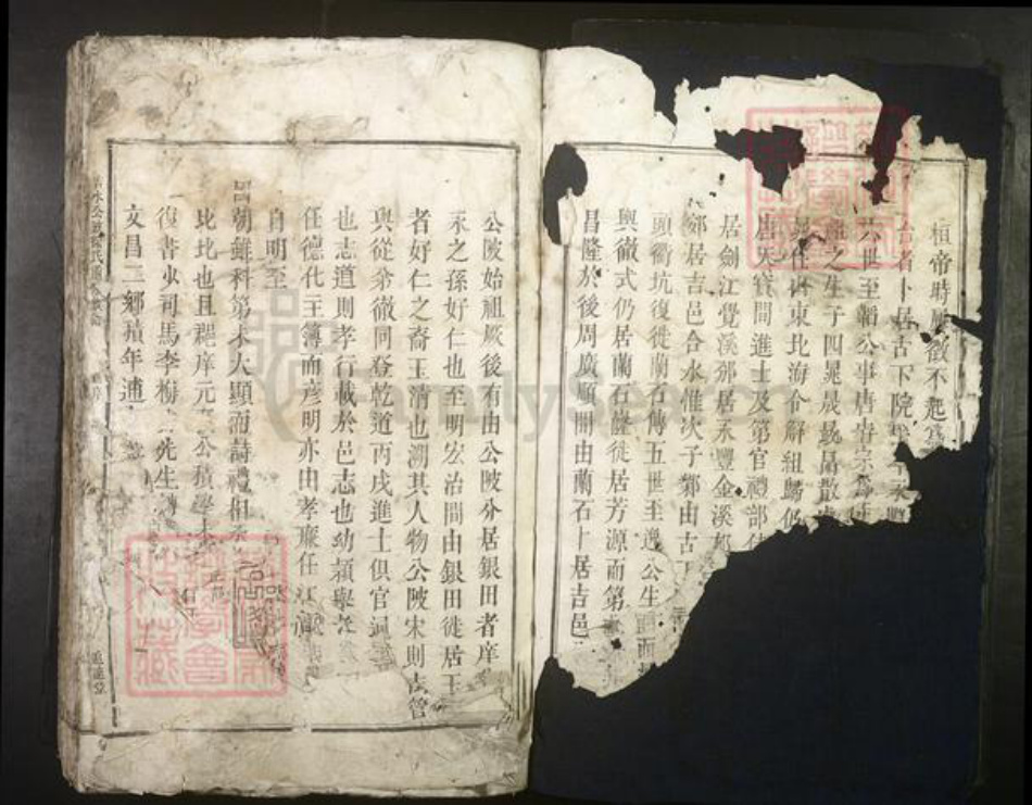 江西省吉安市吉水县徐氏族谱-吉水公陂徐氏重修族谱[不分卷].pdf电子版插图2