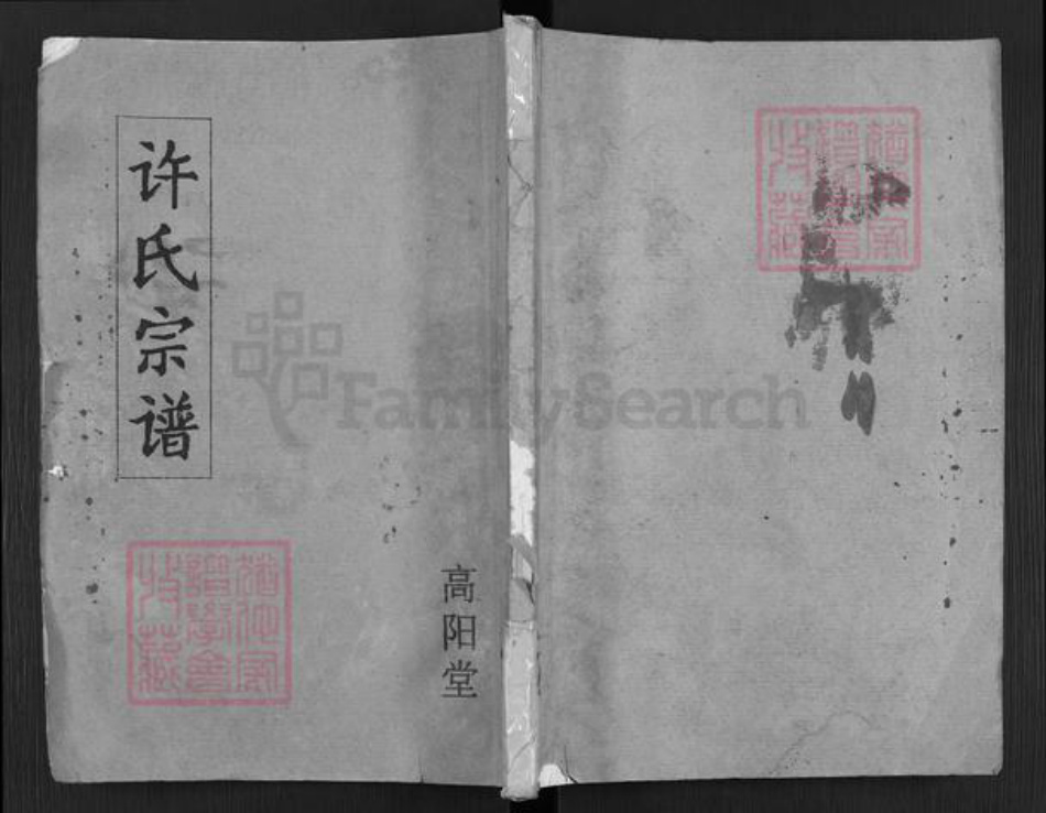 江苏省盐城市阜宁县益林镇许氏高阳堂族谱-许氏宗谱.pdf电子版插图