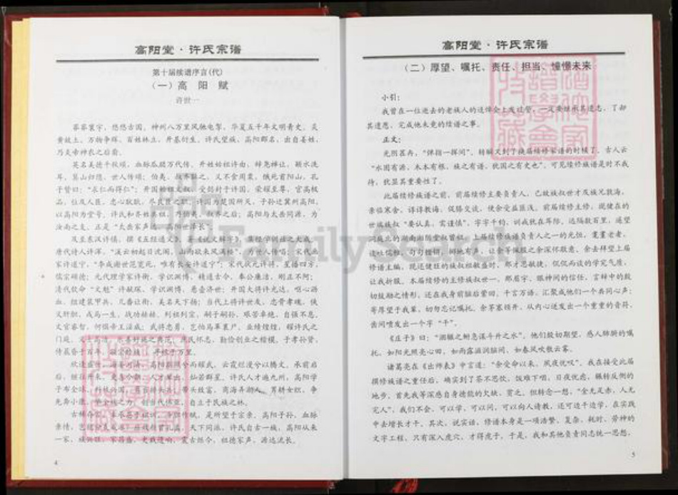 湖北省仙桃市许氏高阳堂族谱-许氏宗谱.pdf电子版插图4 湖北省仙桃市许氏高阳堂族谱-许氏宗谱.pdf电子版插图4