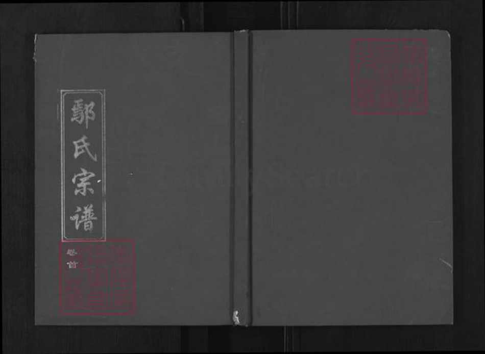 湖北省荆州市公安县鄢氏棠荫堂族谱-鄢氏宗谱.pdf电子版