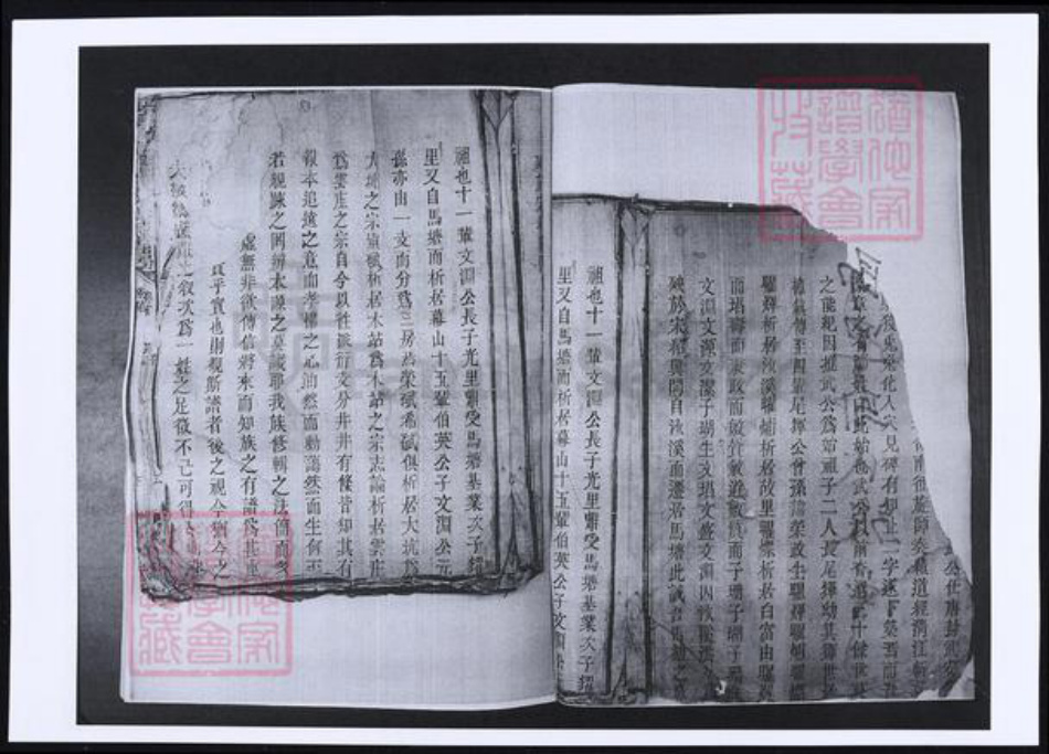 山东省青岛市即墨区鄢氏族谱-山东即墨鄢氏族谱.pdf电子版插图1