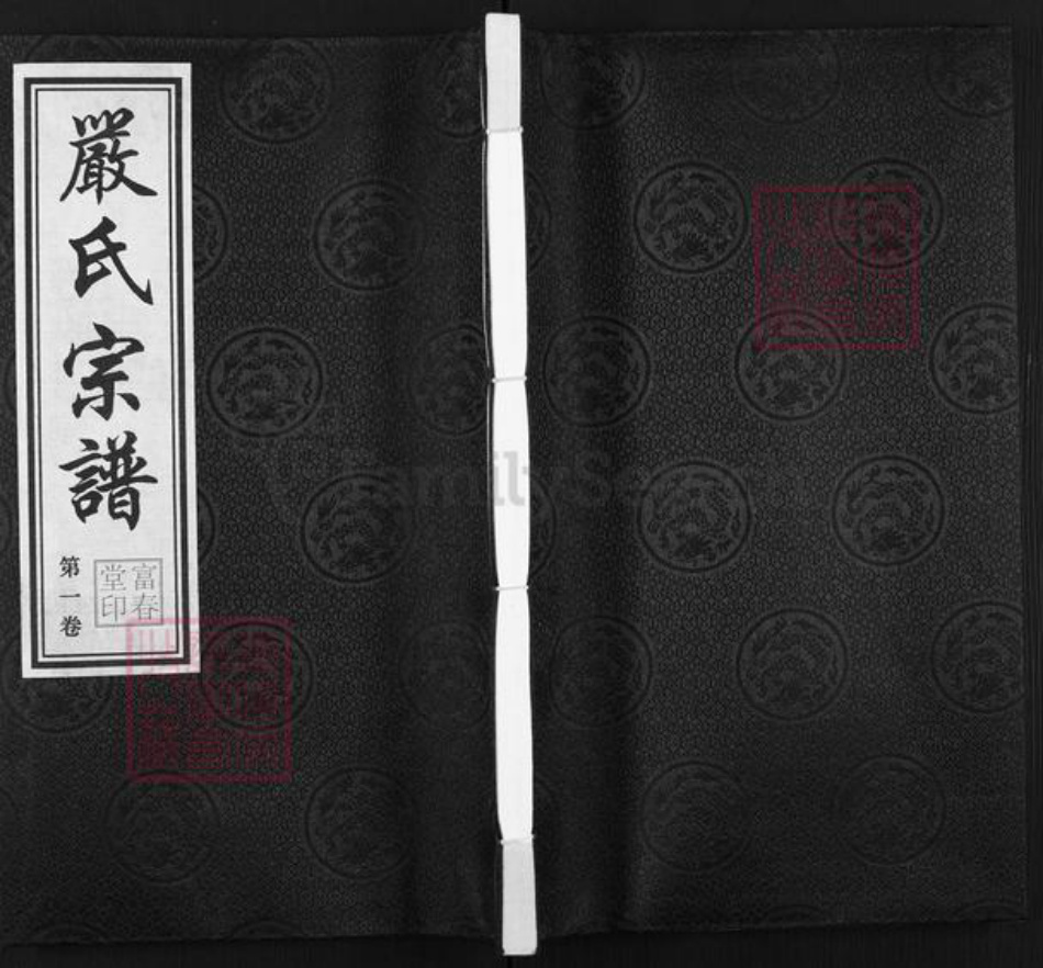 江苏省无锡市江阴市月城镇严氏富春堂族谱-严氏宗谱.pdf电子版