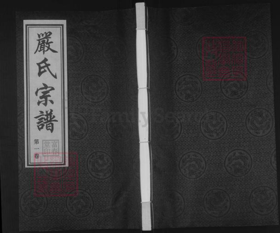 江苏省无锡市江阴市月城镇严氏富春堂族谱-严氏宗谱.pdf电子版
