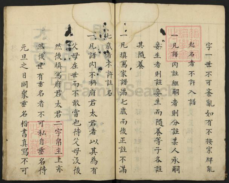 山西省晋中市祁县西六支乡阎氏族谱-阎氏家谱.pdf电子版插图4