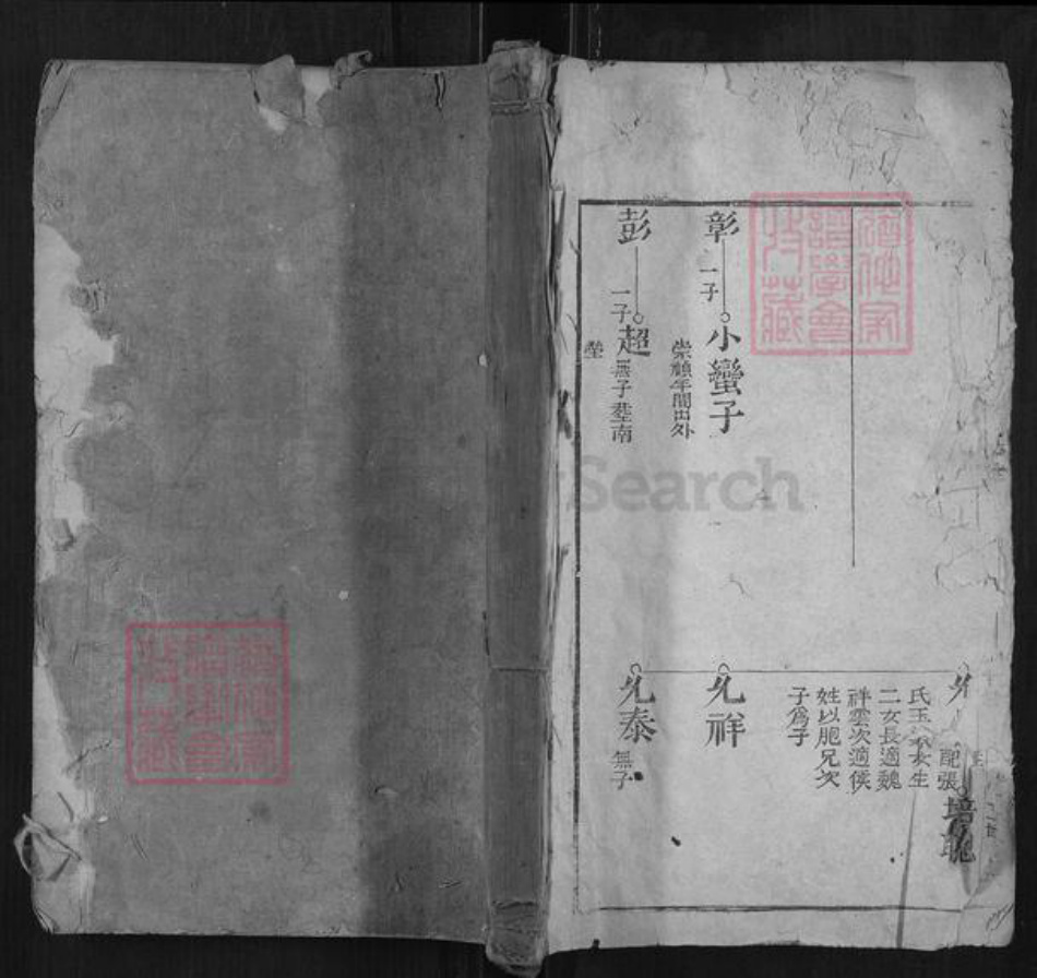 河南省安阳市林州市阎氏族谱-林虑阎氏族谱[不分卷].pdf电子版插图