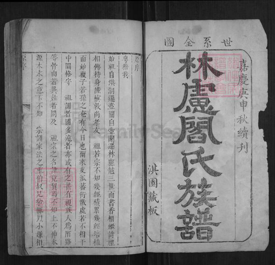 河南省安阳市林州市阎氏族谱-林虑阎氏族谱[不分卷].pdf电子版插图1