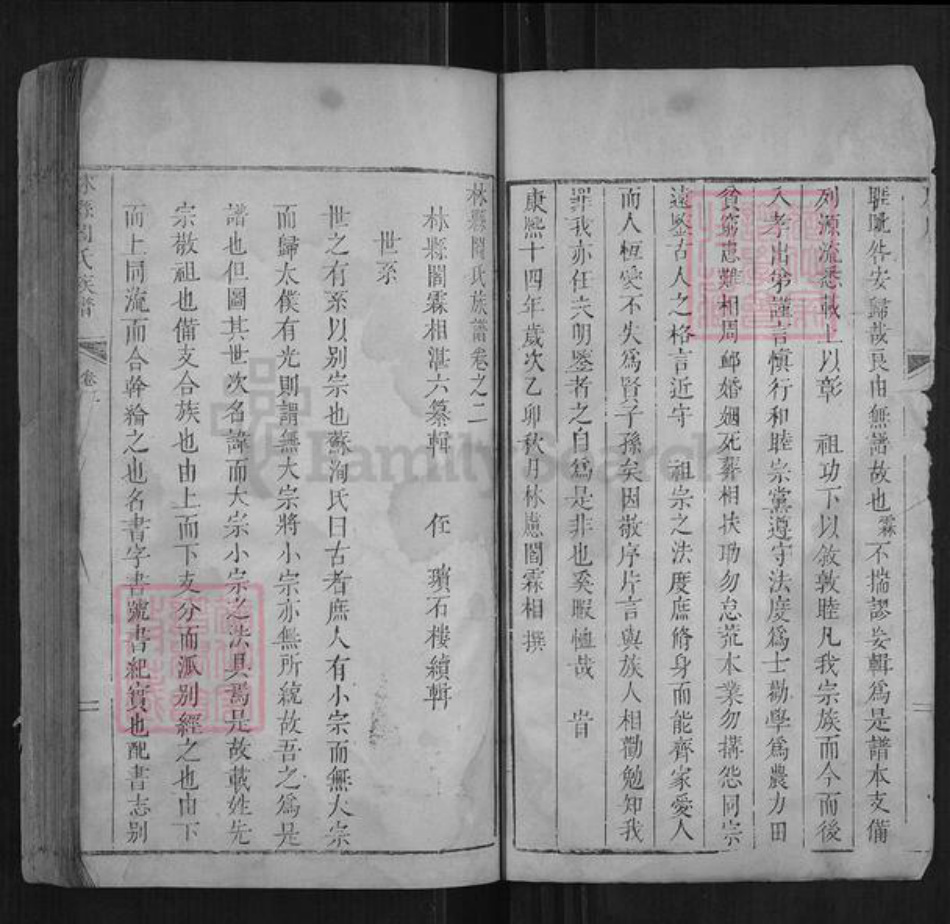 河南省安阳市林州市阎氏族谱-林虑阎氏族谱[不分卷].pdf电子版插图2