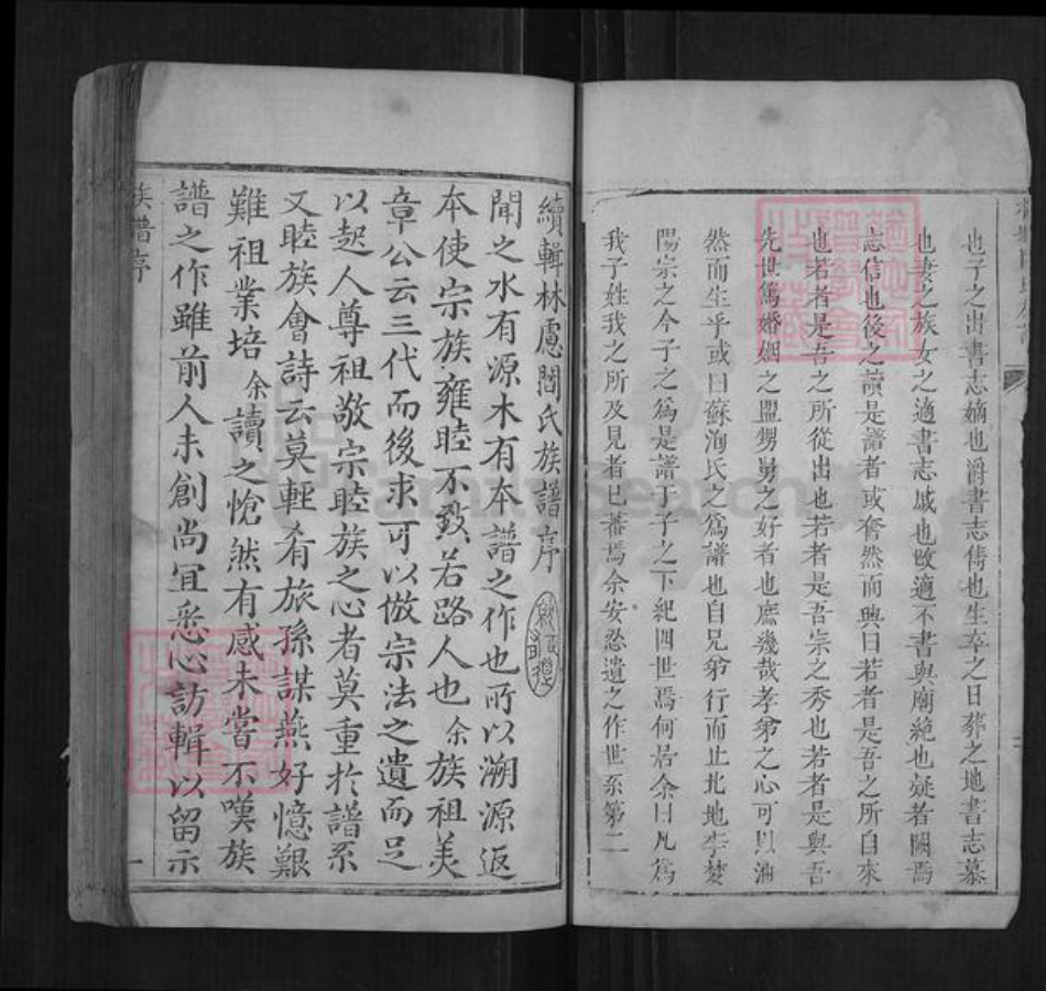 河南省安阳市林州市阎氏族谱-林虑阎氏族谱[不分卷].pdf电子版插图3