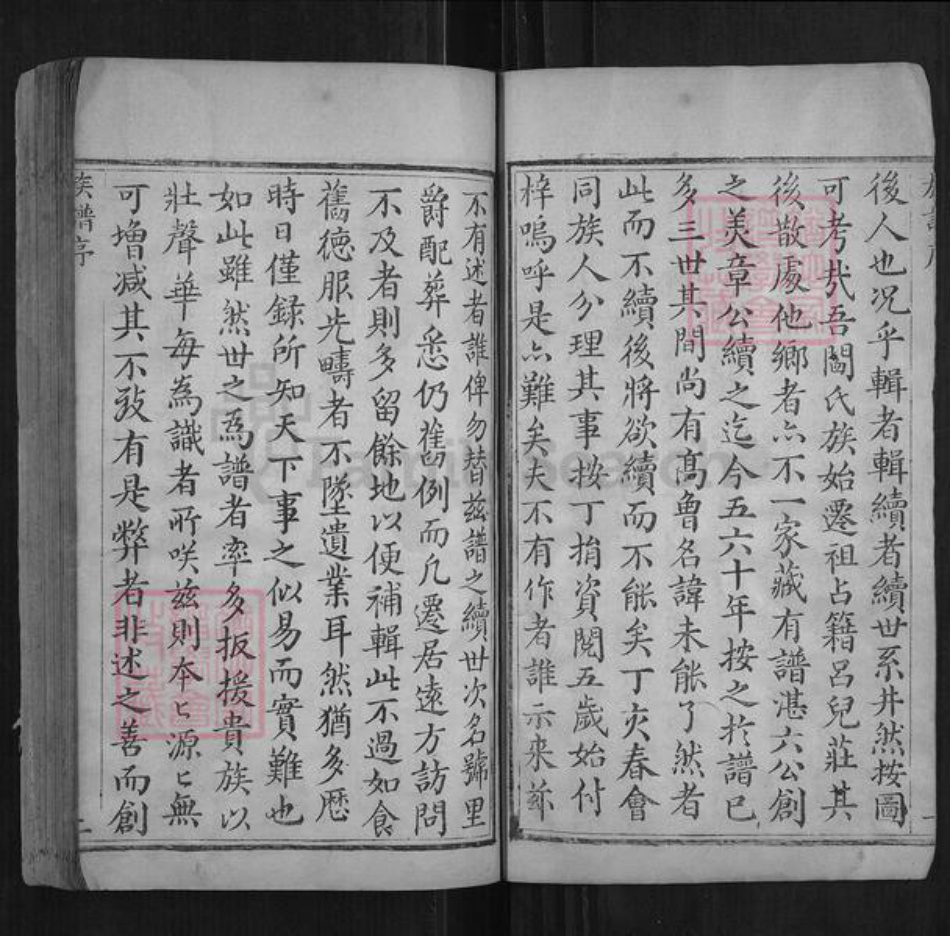河南省安阳市林州市阎氏族谱-林虑阎氏族谱[不分卷].pdf电子版插图4