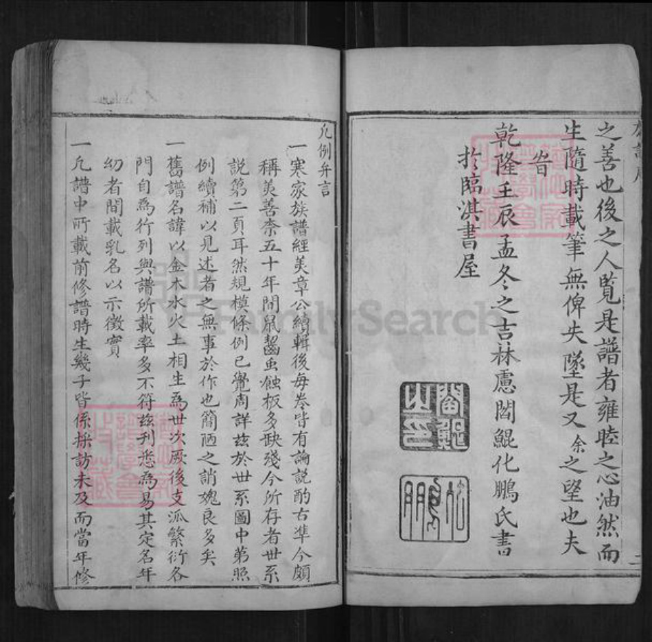 河南省安阳市林州市阎氏族谱-林虑阎氏族谱[不分卷].pdf电子版插图5