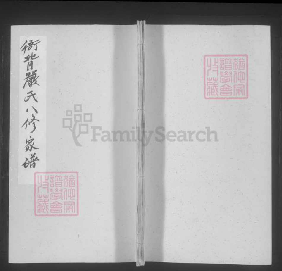 江西省严氏族谱-衙背严氏八修家谱 [不分卷].pdf电子版插图