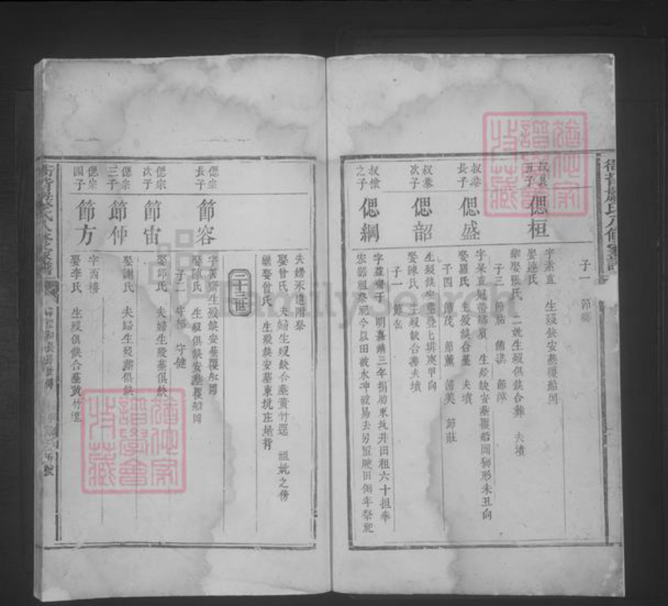江西省严氏族谱-衙背严氏八修家谱 [不分卷].pdf电子版插图3