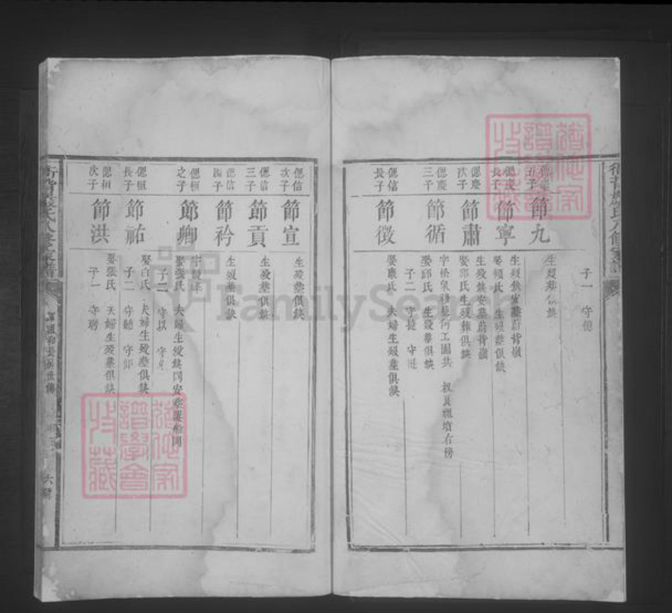江西省严氏族谱-衙背严氏八修家谱 [不分卷].pdf电子版插图4