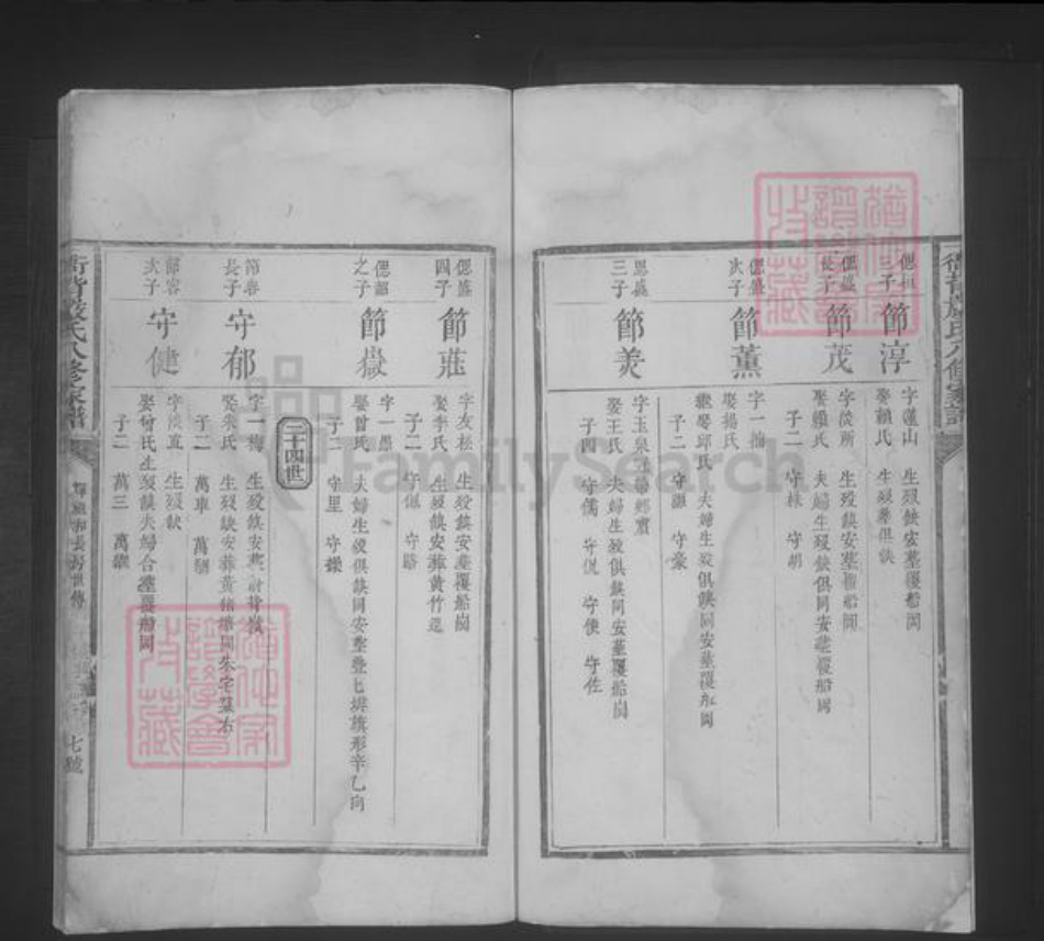 江西省严氏族谱-衙背严氏八修家谱 [不分卷].pdf电子版插图5