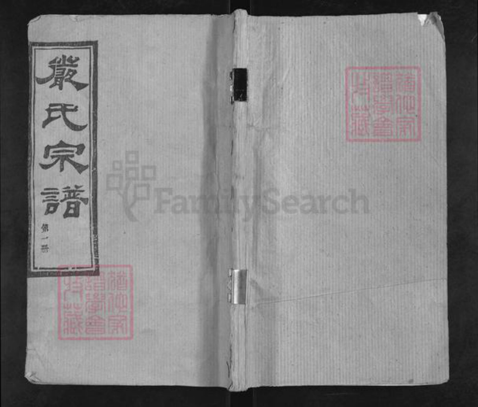 湖北省孝感市大悟县严氏芸晖堂族谱-严氏宗谱.pdf电子版