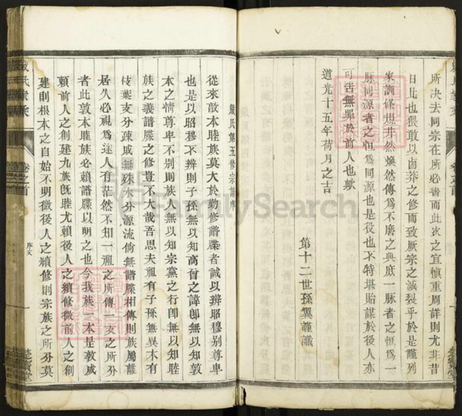 江苏省泰州市泰兴市新街镇严氏楚宝堂族谱-严氏族谱.pdf电子版插图4 江苏省泰州市泰兴市新街镇严氏楚宝堂族谱-严氏族谱.pdf电子版插图4
