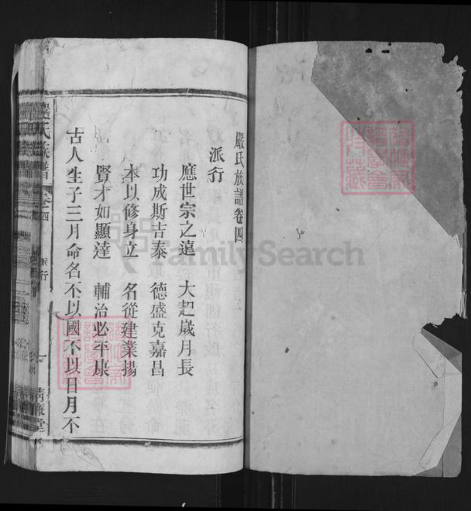 安徽省安庆市望江县严氏清廉堂族谱-严氏族谱.pdf电子版插图1 安徽省安庆市望江县严氏清廉堂族谱-严氏族谱.pdf电子版插图1