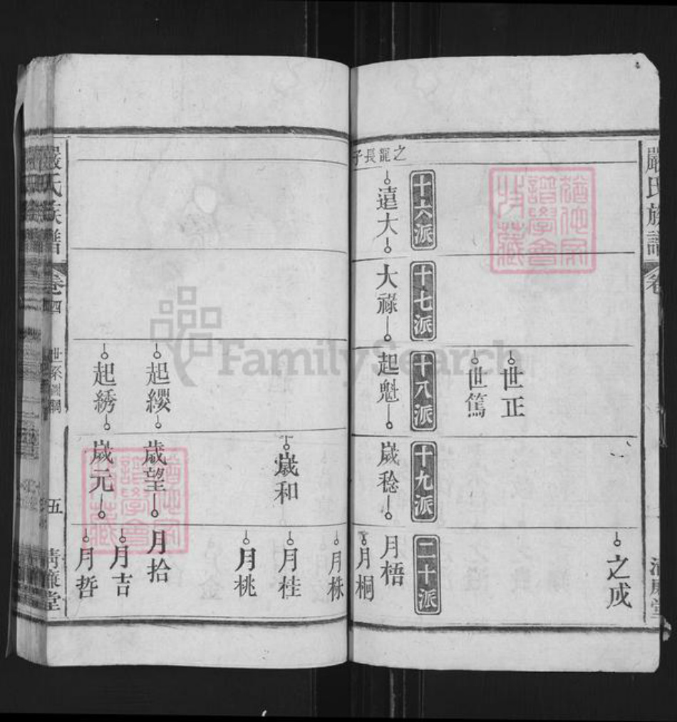 安徽省安庆市望江县严氏清廉堂族谱-严氏族谱.pdf电子版插图5 安徽省安庆市望江县严氏清廉堂族谱-严氏族谱.pdf电子版插图5