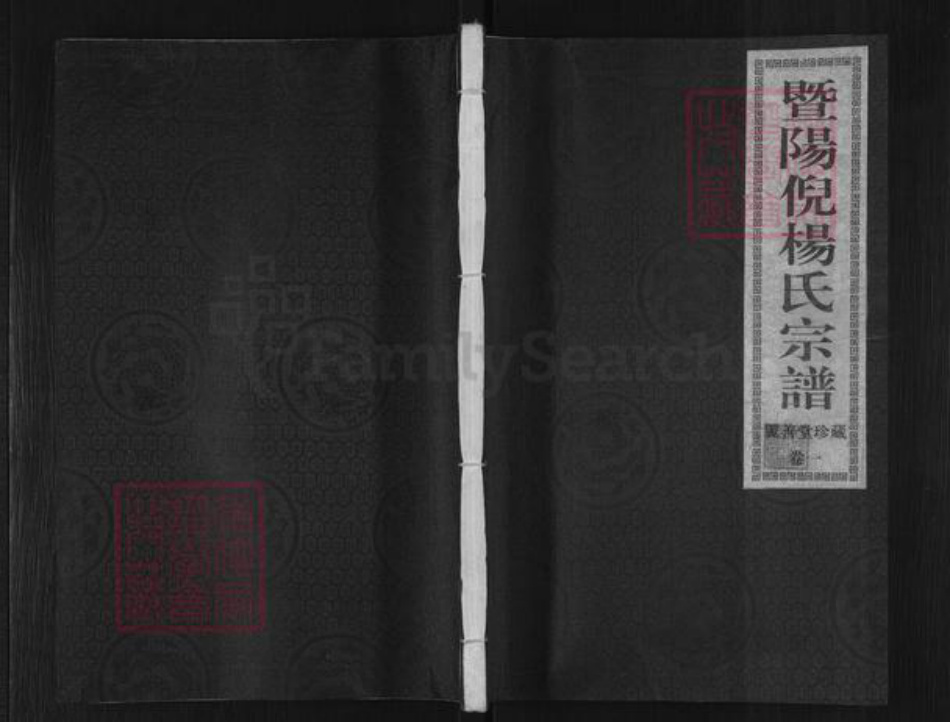 浙江省绍兴诸暨市暨阳街道杨氏翼善堂族谱-暨阳倪杨氏宗谱.pdf电子版