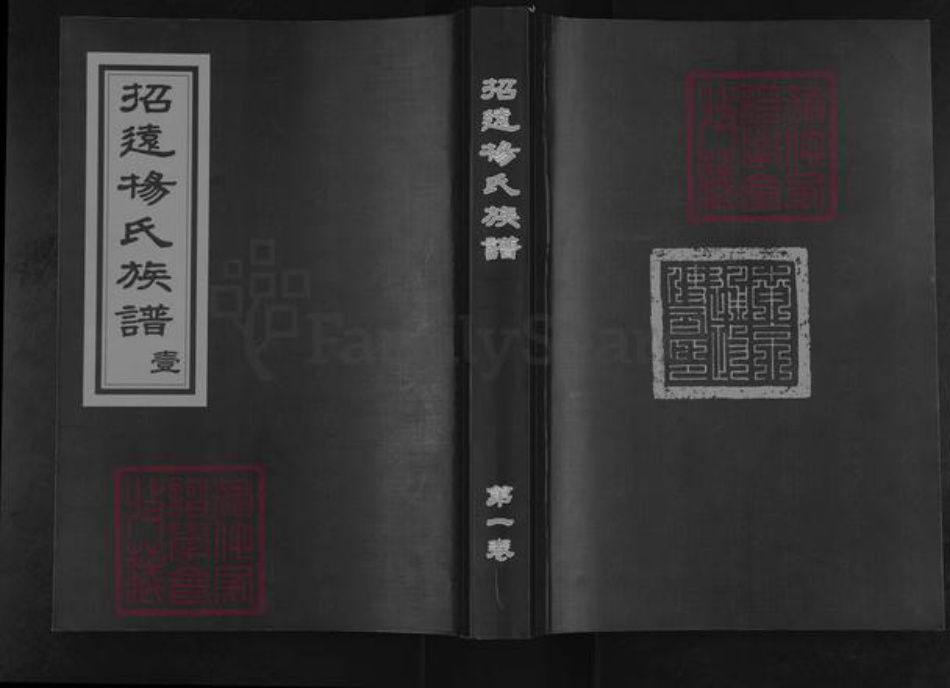 山东省烟台市招远市罗峰街道杨氏族谱-招远杨氏族谱.pdf电子版