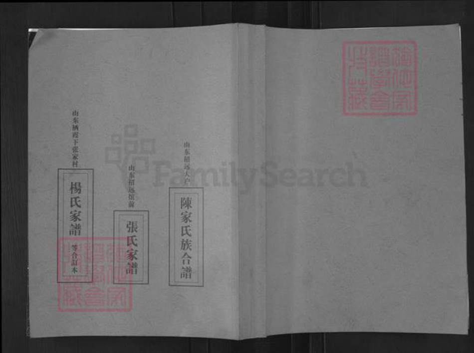 山东省烟台市栖霞市杨氏族谱-吉林市北沙河子屯(杨氏族谱).pdf电子版插图