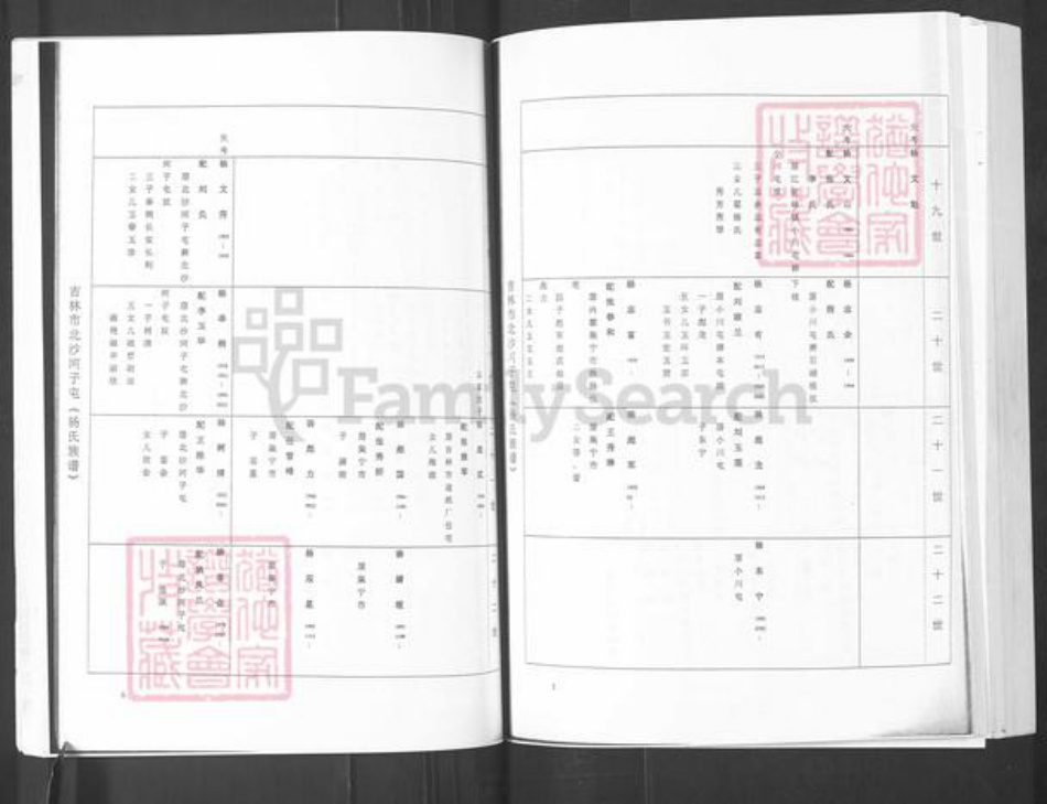 山东省烟台市栖霞市杨氏族谱-吉林市北沙河子屯(杨氏族谱).pdf电子版插图3
